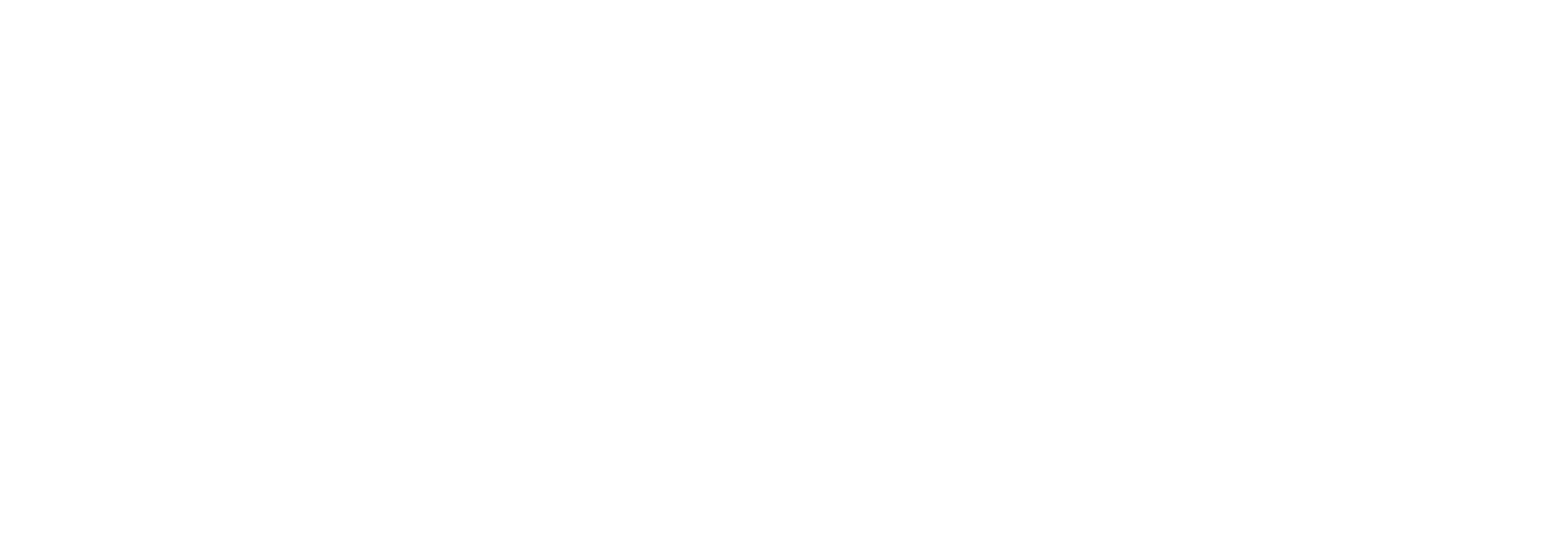 Connexin Logo