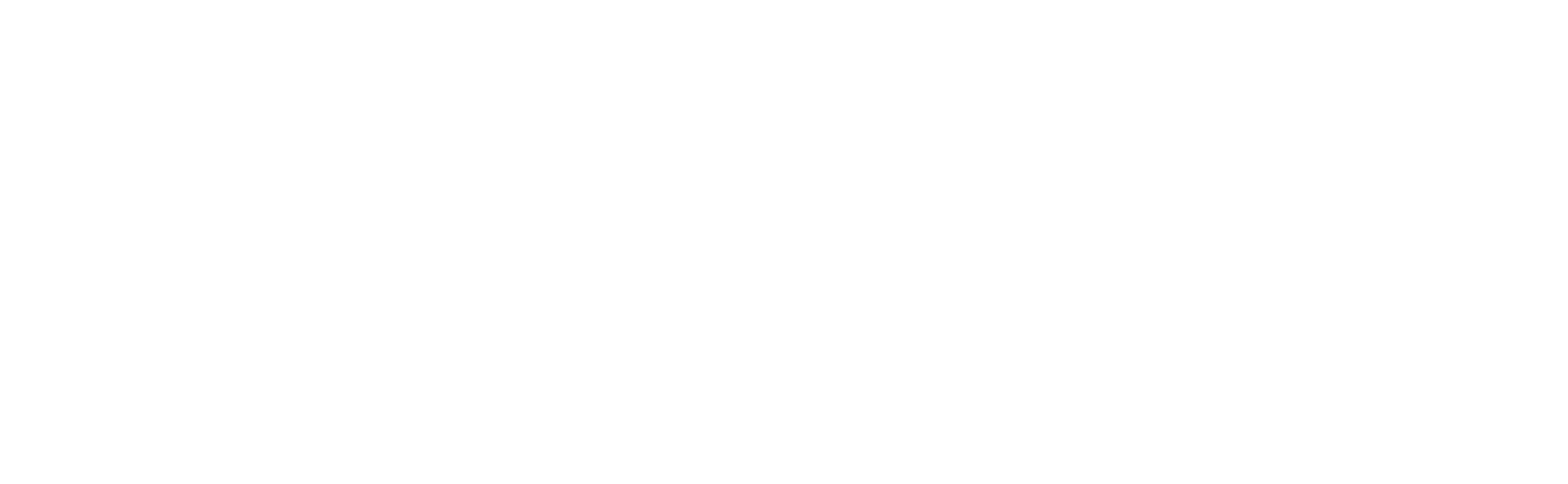 Nexqt White Logo