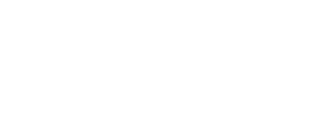 Vizzia White Logo